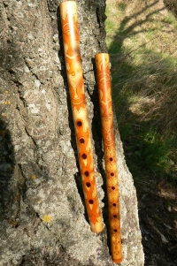 Shepherd's flutes